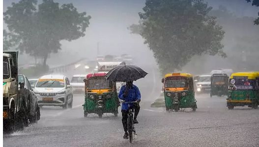 பஞ்சாப், அரியானாவில் கனமழை - மக்களின் இயல்பு வாழ்க்கை பாதிப்பு