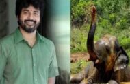 வண்டலூர் பூங்கா யானையை தத்தெடுத்த நடிகர் சிவகார்த்திகேயன்