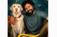 கயல் சந்திரன் நடித்துள்ள 'சிங்கா' படத்தின் முன்னோட்டம் வெளியீடு