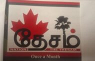 எங்கே செல்கிறது எமது தாய் (யாழ்) மண்?