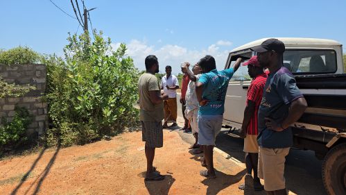 மன்னாரில்  மனித நேயமற்ற செயல்களினால் மக்கள் அதிர்ச்சி