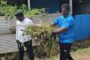 சண்டிலிப்பாய் சீரணி நாகபூசணி அம்பாள் ஆலயத்தில் நடைபெற்ற முத்தேர் இரதோற்சவம்!
