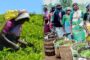 இலங்கைப் பாராளுமன்றத்திலிருந்து ஒரு 'பைத்திய'த்தின் பகிரங்க ‘’கொலை மிரட்டல்''