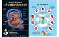 மனிதக் கருவளர்ச்சியில் மிகவும் முக்கியத்துவம் வாய்ந்த பதினேழாவது நாள்