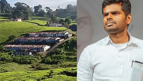 மேகமலை பகுதியில் உயர்மட்டக்குழு அமைத்து நிலங்களை மறு ஆய்வு செய்ய வேண்டுமென அண்ணாமலை கூறினார்