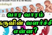 தாயின் வயிற்றுக்குள் தொடங்கும் மனிதரின் வாழ்க்கை