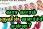 ஸ்பெயினில் அகதிகள் படகு கடலில் கவிழ்ந்து விபத்தில் 17 பேர் உயிரிழந்தனர்