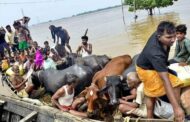 பீகாரில் கனமழை, வெள்ளத்தால் 19 லட்சம் பேர் பாதிக்கப்பட்டுள்ளனர்
