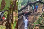 கேரள நிலச்சரிவில் உயிரிழந்தோர் எண்ணிக்கை 7 ஆக உயர்ந்துள்ளது
