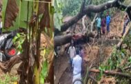 கேரள நிலச்சரிவில் உயிரிழந்தோர் எண்ணிக்கை 7 ஆக உயர்ந்துள்ளது