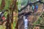 சூரி நடித்த “மண்டாடி” படம் ரூ.100 கோடி வசூல் செய்துள்ளது