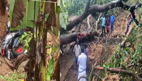 கேரள நிலச்சரிவில் உயிரிழந்தோர் எண்ணிக்கை 7 ஆக உயர்ந்துள்ளது